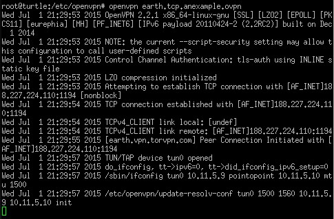 Connect with OpenVPN under Linux