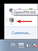 OpenVPN is in the systray